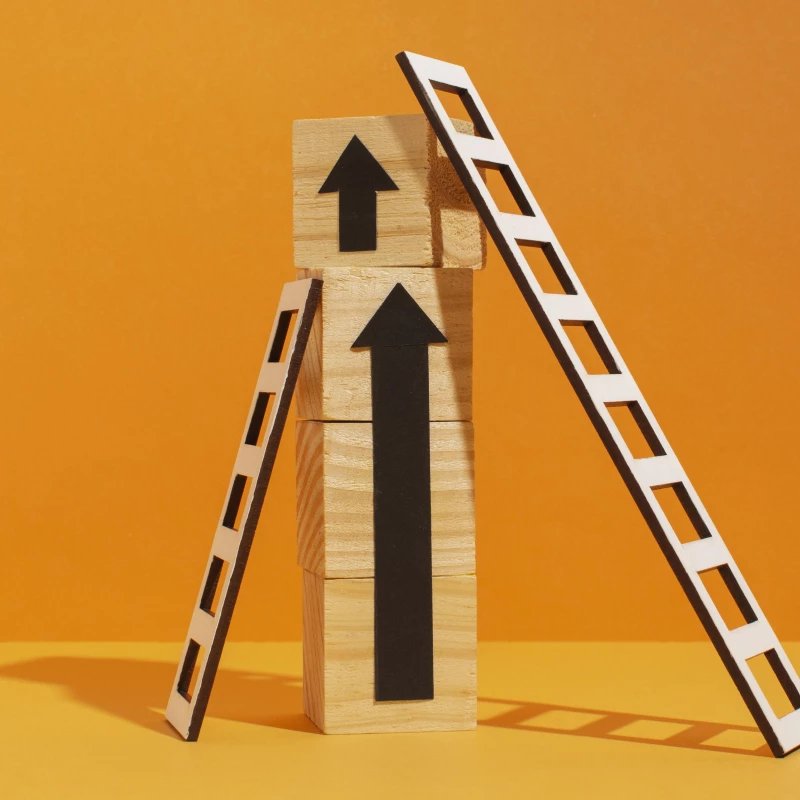 Houten blokjes op elkaar gestapeld met daar tegen aan twee ladders, om stapsgewijs verbeteren te illustreren van Lean.